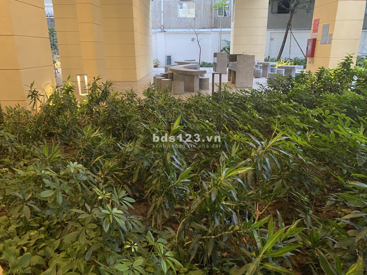 Chính chủ - Cần bán căn hộ chung cư cao cấp ở quận Tân Phú