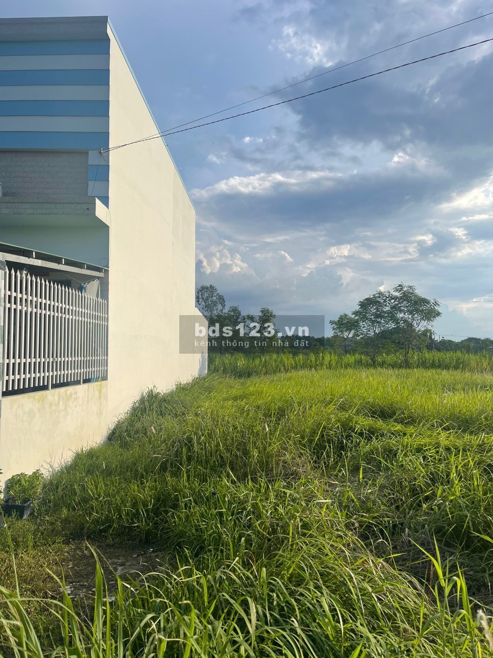 Bán đất 132m2 mặt tiền đường nhựa tại Gò Công Đông Tiền Giang, sổ hồng riêng.