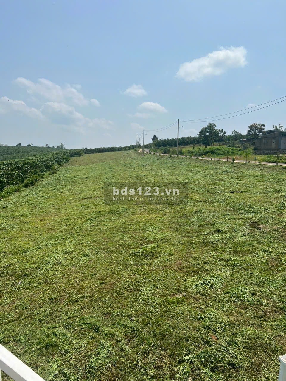 Đất nền Bảo Lộc - Lâm Đồng view đẹp