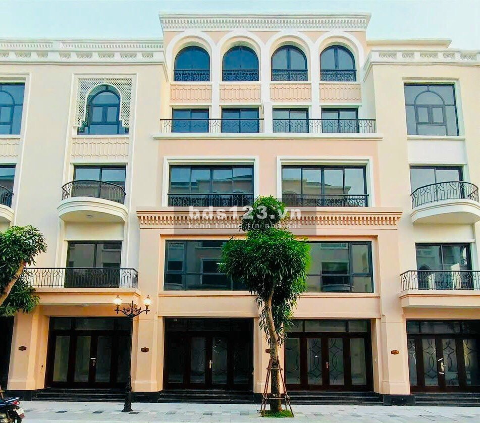 Tổng hợp quỹ căn ngoại giao, giá rẻ siêu rẻ độc quyền tại phân khu Thời Đại, Phố Biển - VHOCP 3