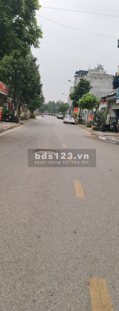 Hàng xóm Vinhomes Riverside - 3.85 tỷ