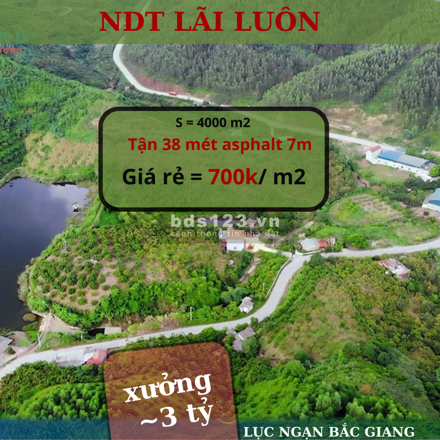 Mặt đường rộng & giá vài trăm nghìn 1 mét vuông Lục Ngạn - Bắc Giang