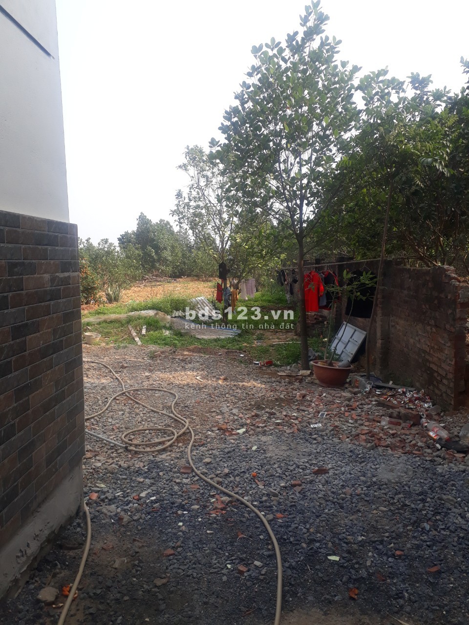 Chính chủ cho thuê đất canh tác rau xanh Chương Mỹ Hà Nội 600m2 giá thỏa thuận