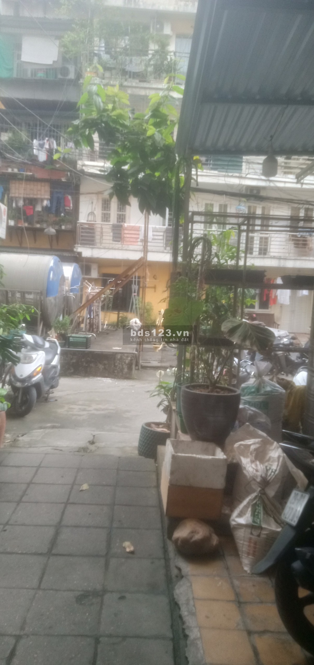 Cho thuê căn hộ tập thể chính chủ số nhà 10C ngõ 186 phố Ngọc Hà.