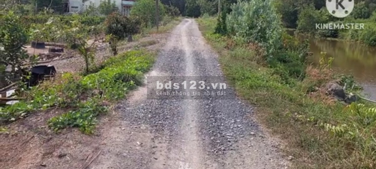 Chủ kẹt tiền cần bán lại miến vườn tâm huyết 800tr/1000m2 nằm giữa 2 đường TL818 và TL816