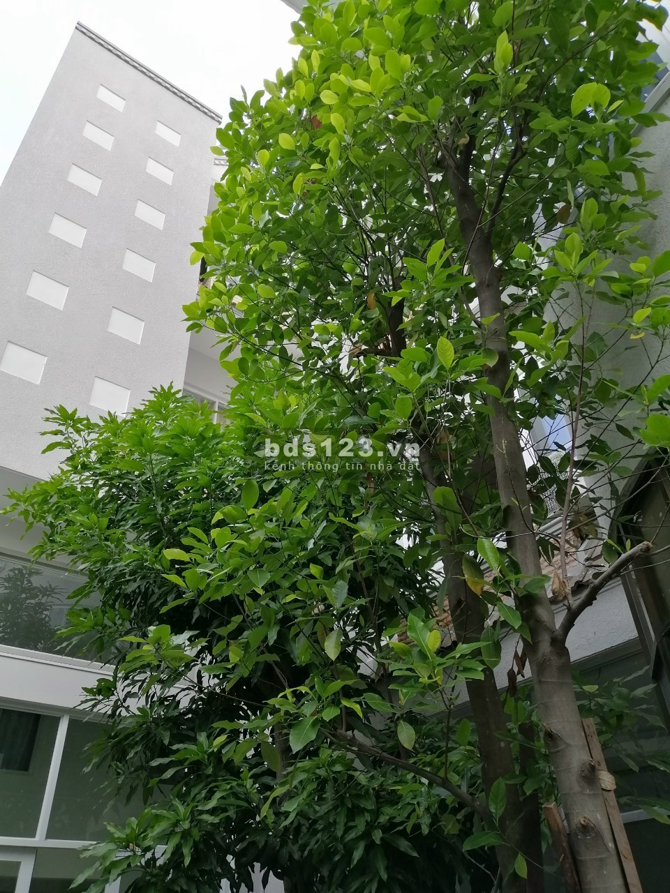Chỉ 138 triệu/m2 sở hữu nhà biệt thự Bình Thạnh. Gồm 2 tòa nhà nằm trên khuôn viên đất 303,7 m2