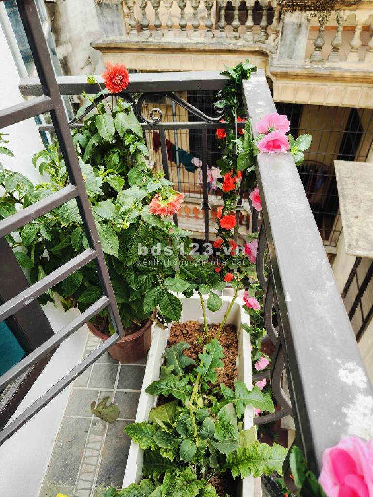 Bán 6 căn nhà có sẵn phố Thái Thịnh hơn 4 tỷ, 3 - 6 ngủ,…