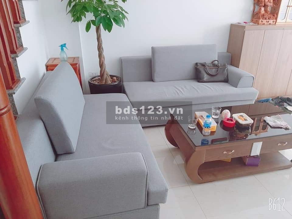 Cần bán gấp nhà Mặt phố Vũ Thạnh - Hào Nam giá 17.5 tỷ, 110m2, kinh doanh lớn.