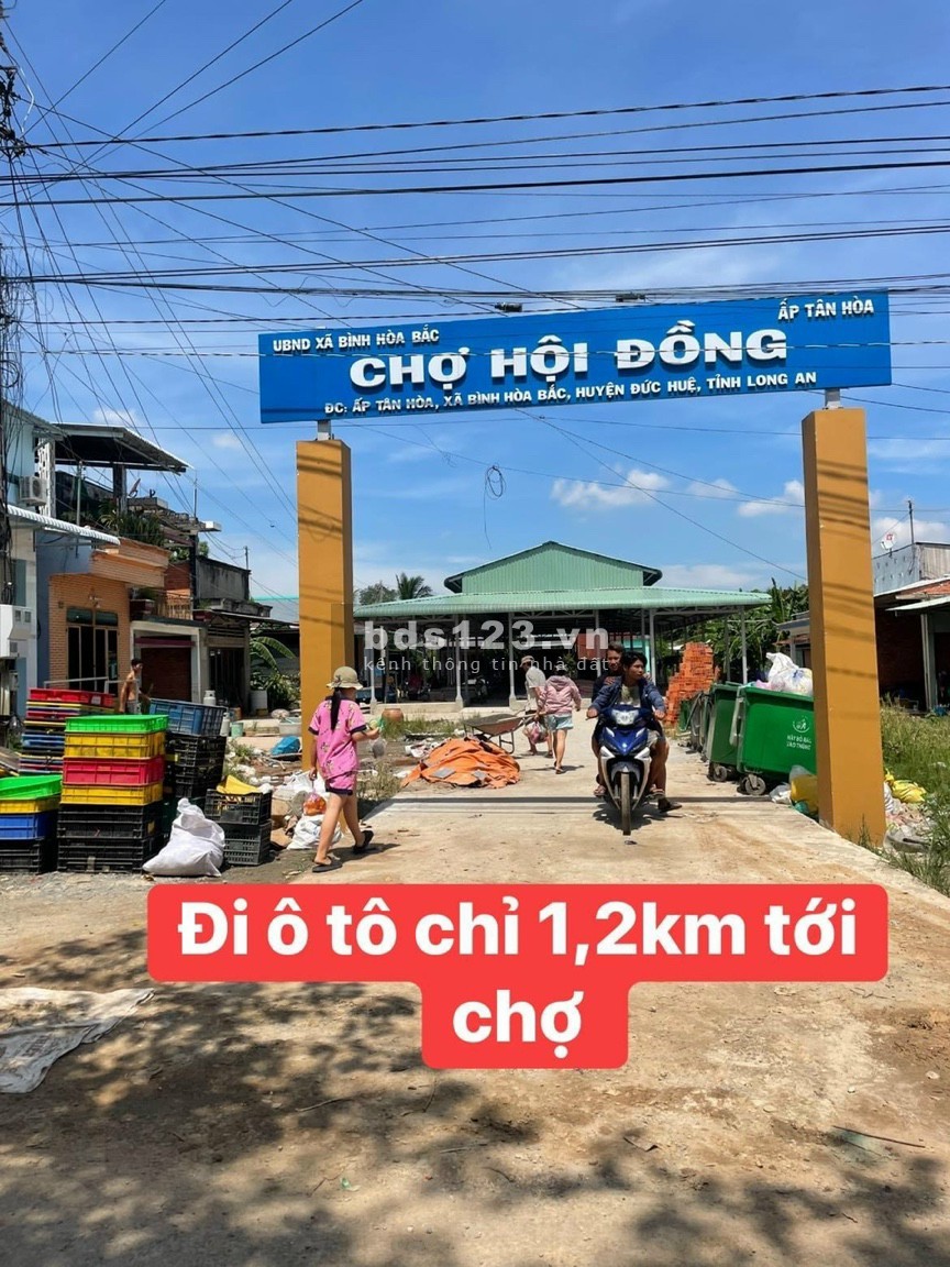 Chính chủ cần bán đất Đức Huệ, Long An