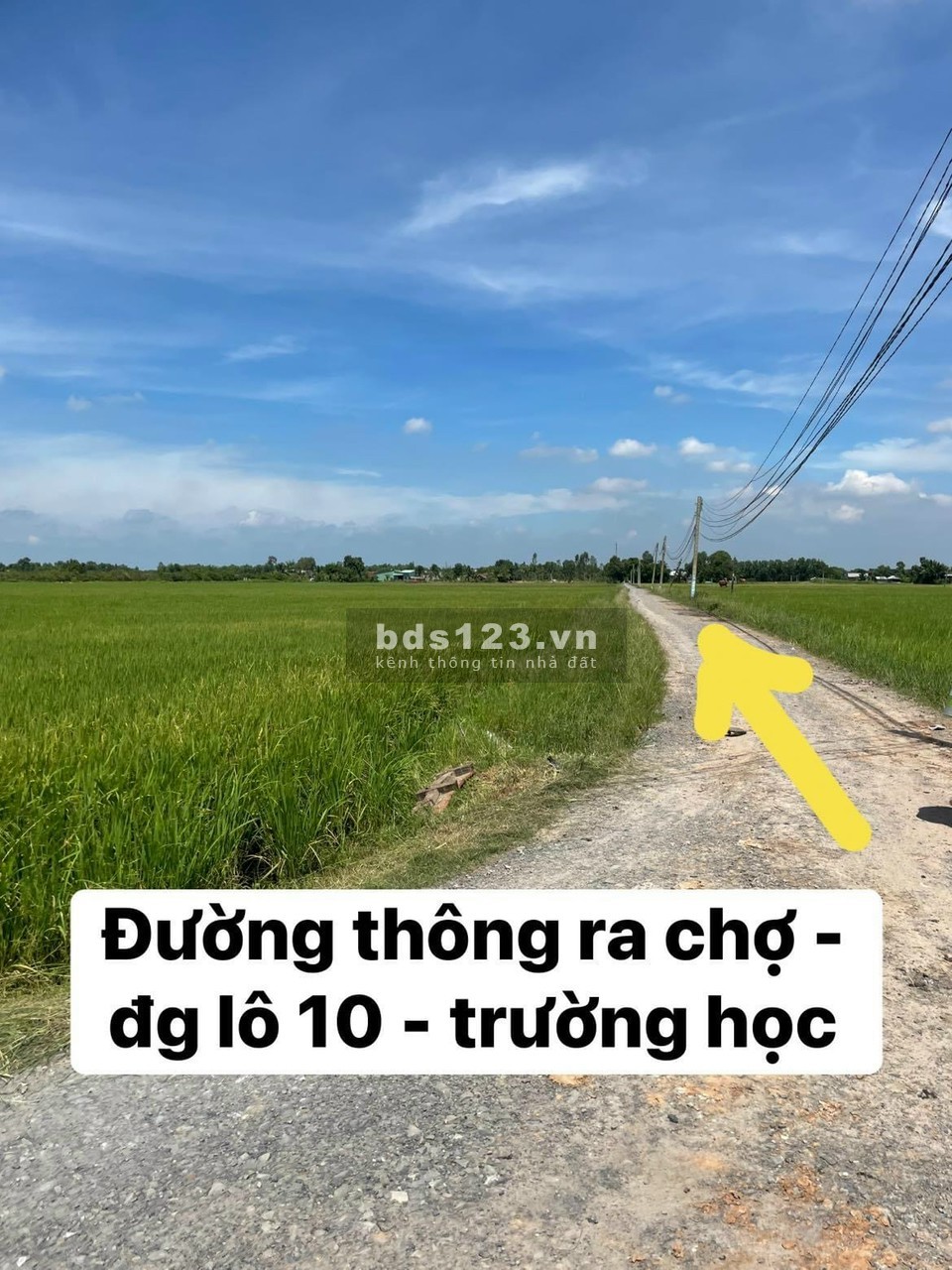 Chính chủ cần bán đất Đức Huệ, Long An