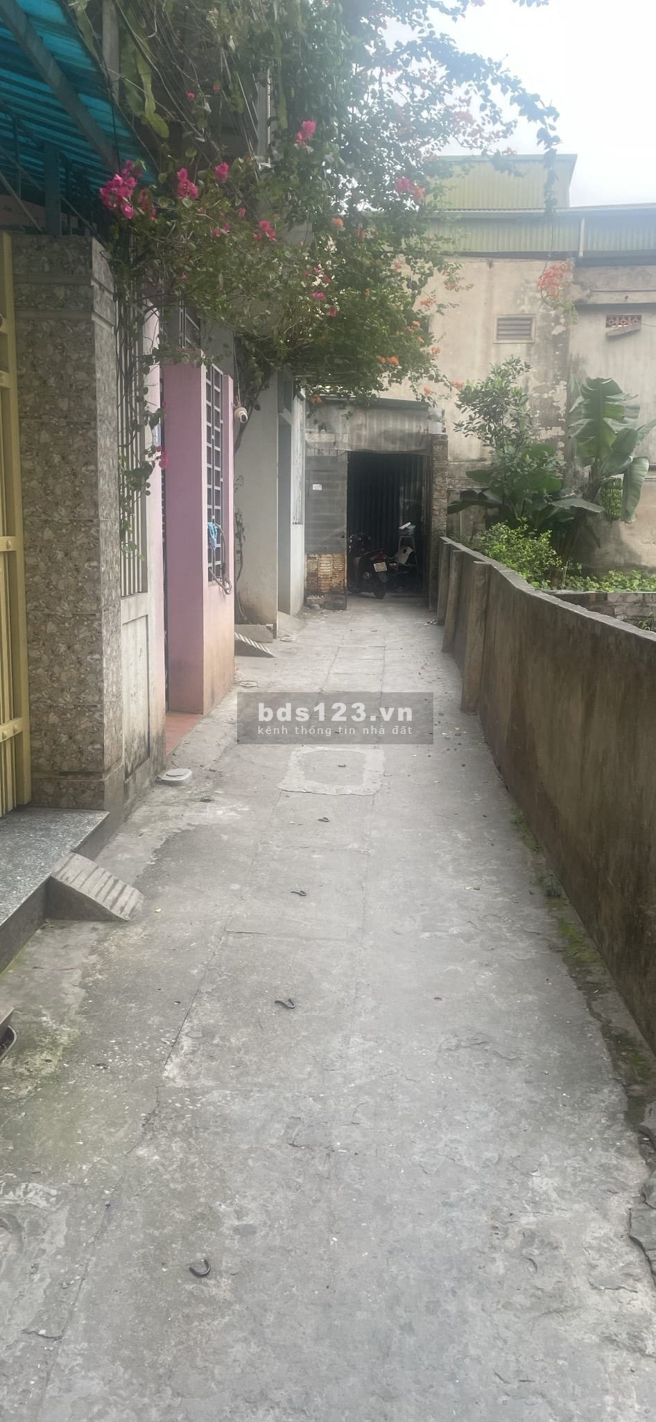 Chính chủ nhờ bán đất tặng kèm nhà cấp 4, hiện tại đang làm 2 phòng trọ
