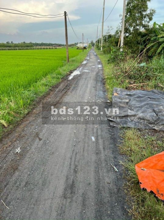 Bán đất 10x30m nhánh đường Chợ Chiều, Đức Hòa Đông, Đức Hòa, Long An giá 2.5 tỷ
