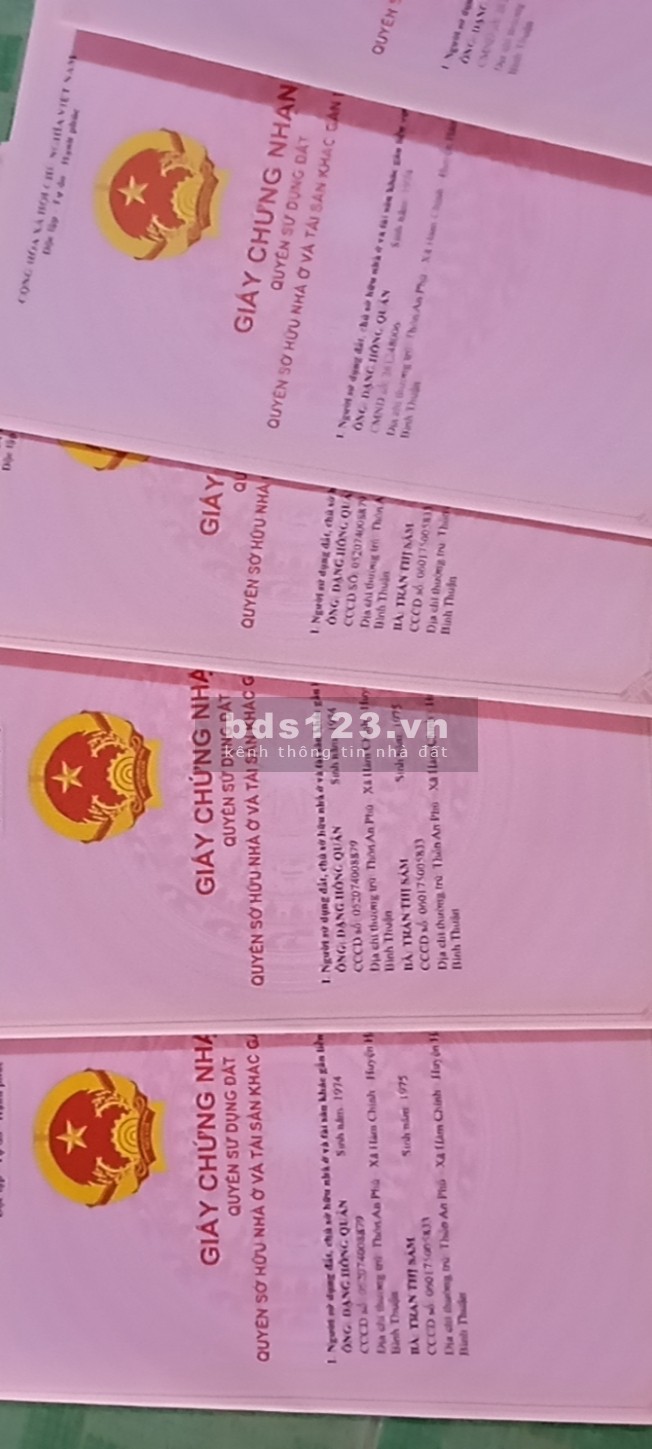Chính chủ bán 8 xào giá (300tr/xào) đất nông nghiệp Hàm Chính QL28