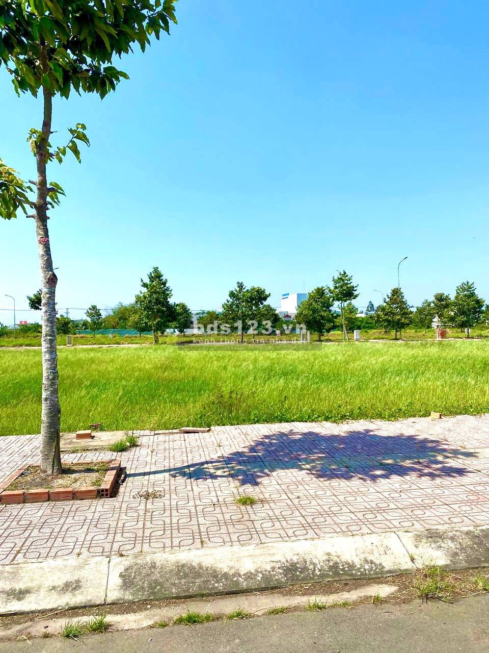 Bán đất Chú Đạt Gần Trung Tâm Hành Chính Mới tại Thị Trấn Thủ Thừa 100m2