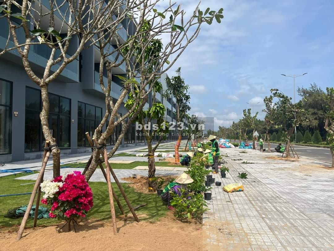 Chỉ từ 3ty6/ NHHT 70% Sở hữu ngay nhà mặt phố sát biển Phú Yên, 5 tầng, DT 6x18m, sổ riêng