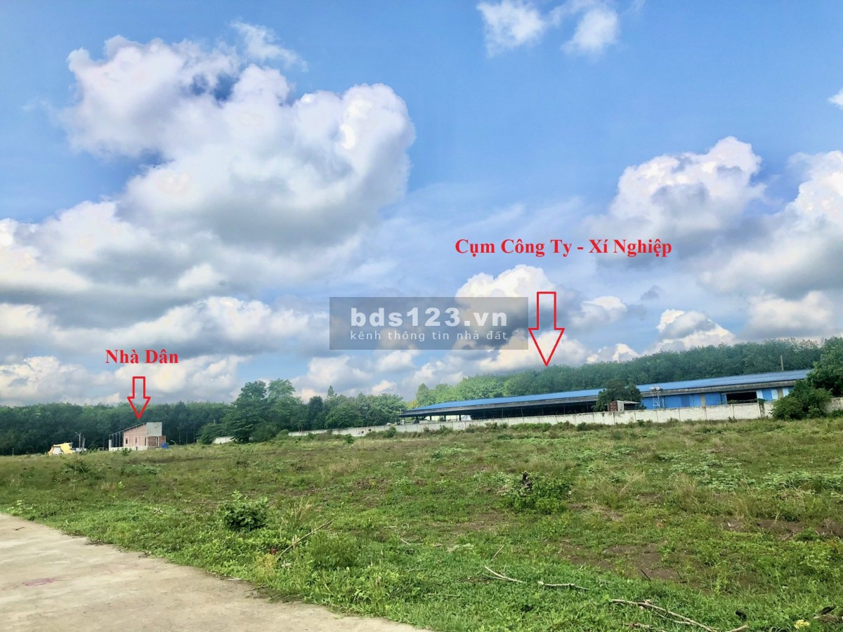 Cần bán miếng đất vườn hơn 4500m2 ở Minh Hưng Chơn Thành