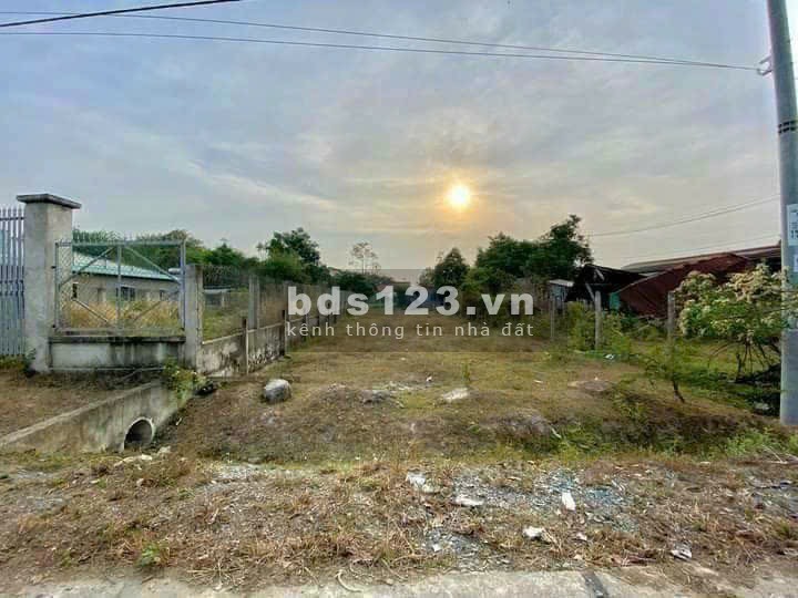 Bán 177.8m2 (6.10 X 29.23) có thổ 1/ đường Nguyễn Kim Cương Tân Thạnh Đông Củ Chi giá 1 tỷ 6