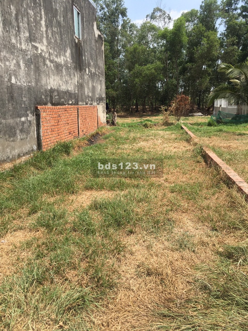 Kẹt tiền Bán lỗ 1 nền đất thổ cư 160m2 đường Nguyễn Đình Kiên, xã Tân Nhựt, huyện Bình Chánh