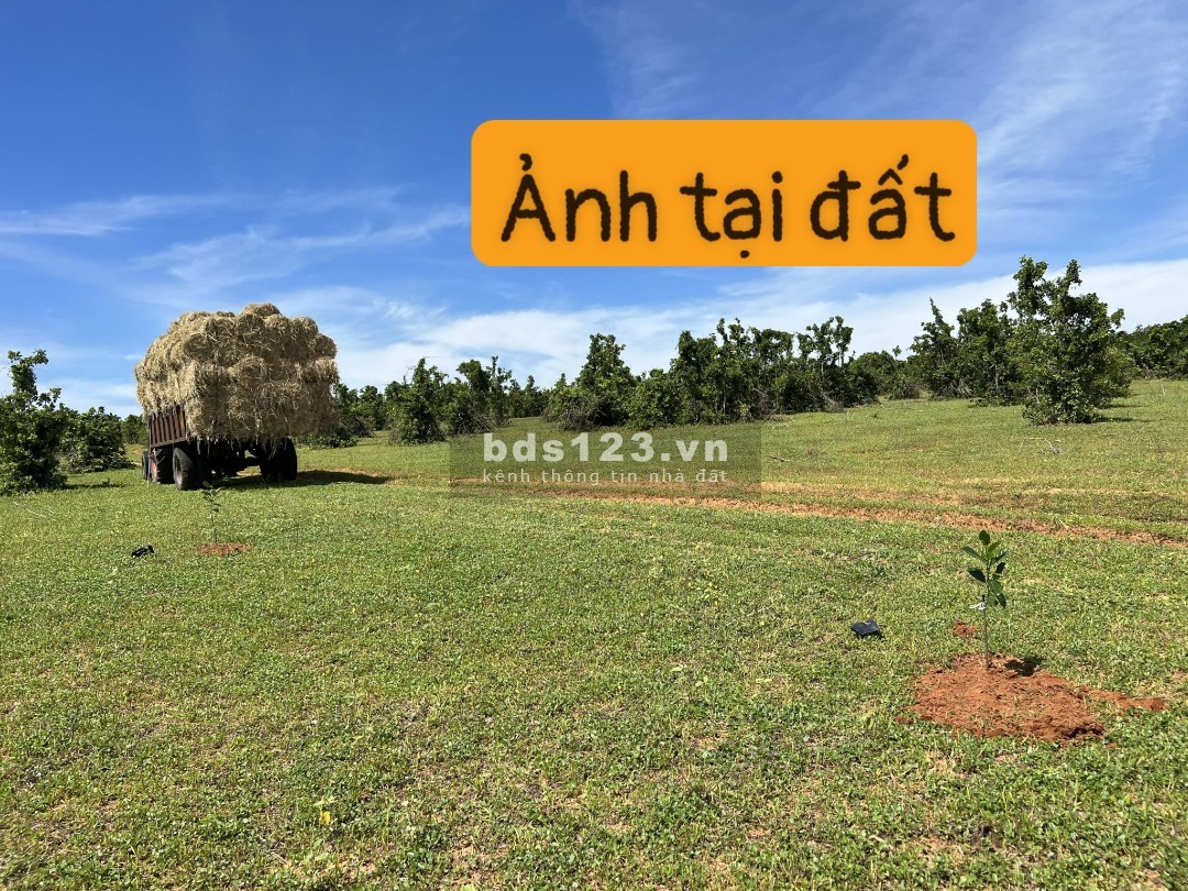 Bán gấp thu hối vốn mảnh đất sát đường nhựa kênh nước Lương Sơn ngay khu Farm