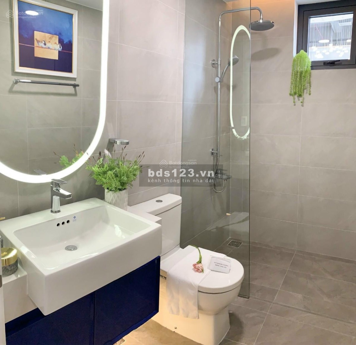Cập nhật giỏ hàng 200 căn hộ D'Lusso tháng 5 - Mua bán - cho thuê