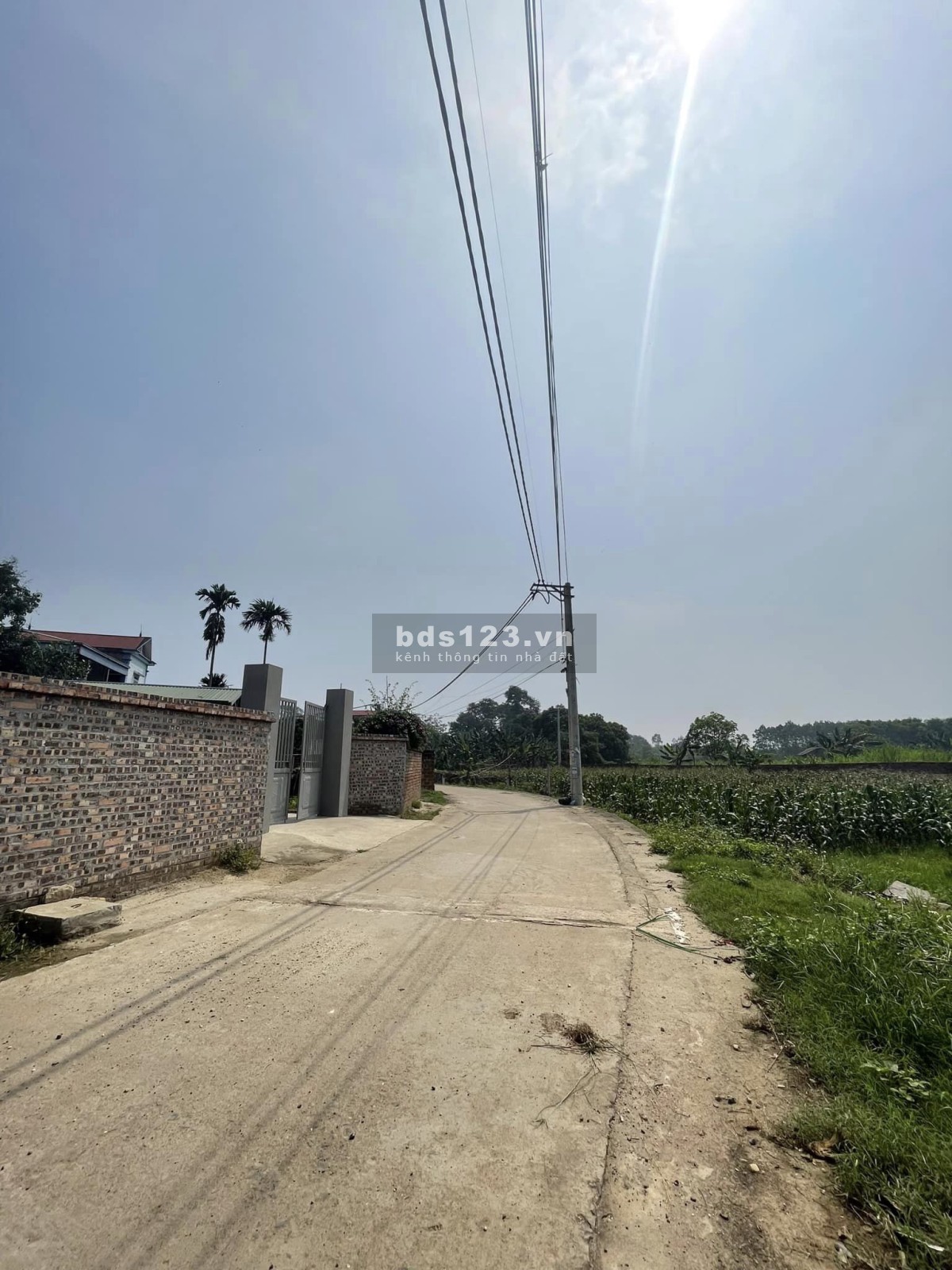 Bán đất Tân Xã Hoà Lạc giá rẻ hơn thị trường, trục chính thôn 3