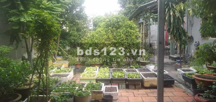 Siêu phẩm 210M2 chỉ 36 tr/m2, ngang 12m, dòng tiền, tặng thêm đất - Hiệp Phú
