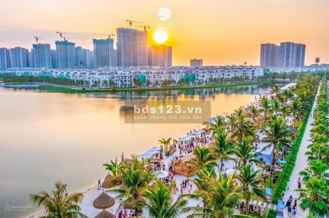 Bán biệt thự song lập San Hô ngay cạnh hồ Ngọc Trai và trường đại học Vinuni-Vinhomes Ocean Park.