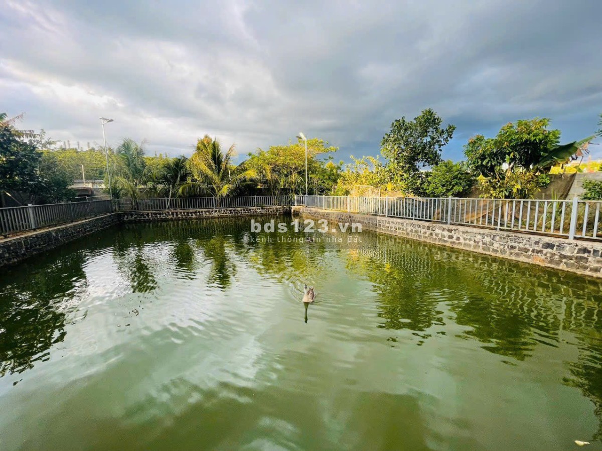Cho thuê nhà mặt tiền Bảo Lộc 40mv có view chill
