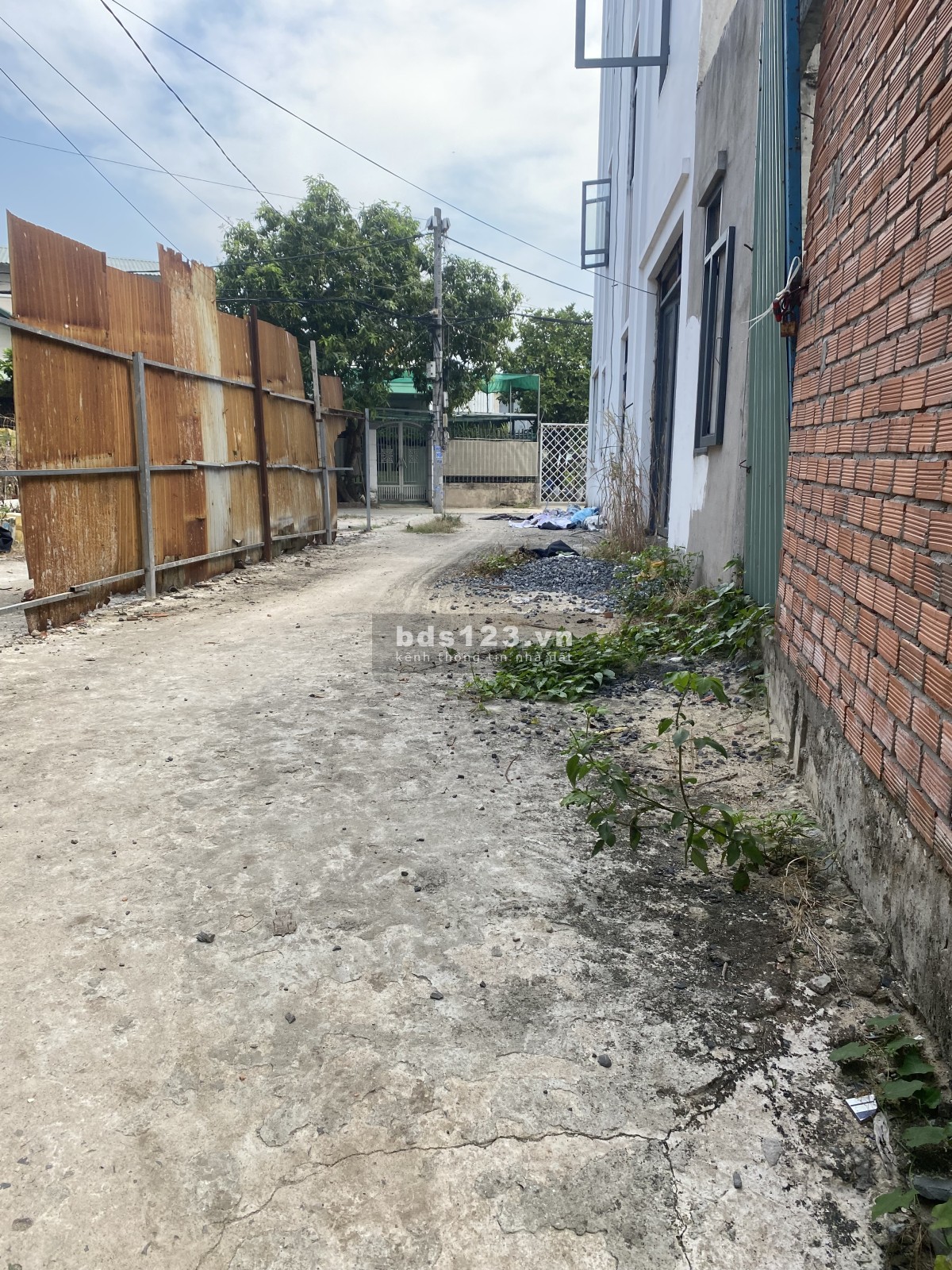 Cho thuê đất nông nghiệp phường thạnh Xuân quận 12
