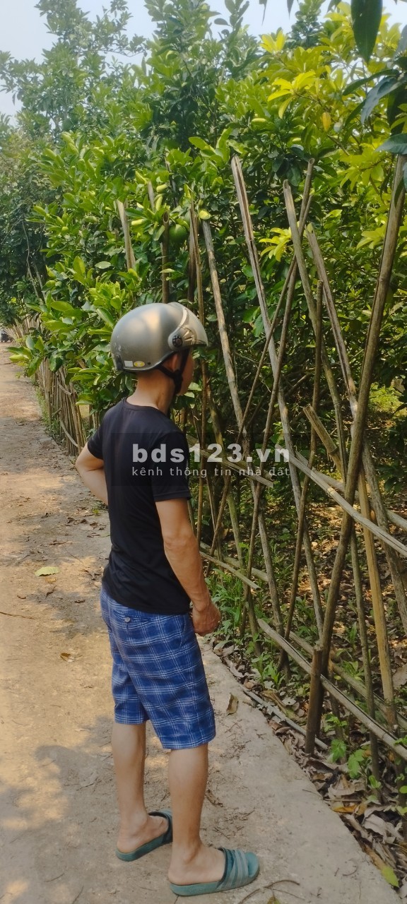 Bán 200m2 đất Xã Chương Dương, Thường Tín đầu tư tiềm năng