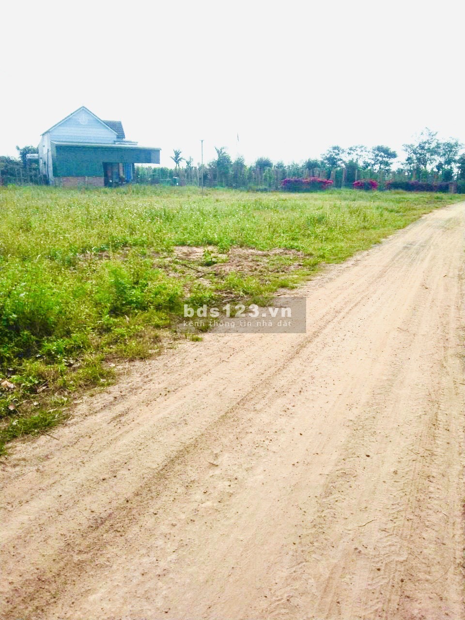Chính chủ cần bán 6000m2 đất thổ cư, bề ngang 100m ở Eakly, Krongpak, Daklak giá chỉ 1,6 tỷ