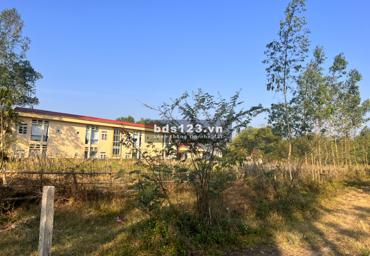 Cần bán lô đất thổ cư tại thôn Lương Thiện, xã Trường Sinh, huyện Sơn Dương, tỉnh Tuyên Quang.