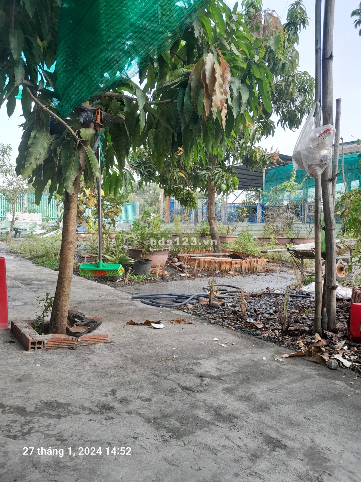 Bán đất trồng cây lâu năm 2310,5 m2, mặt tiền Đường Cây Dương, Xã Hưng Long, Bình Chánh (giá 8ty5)