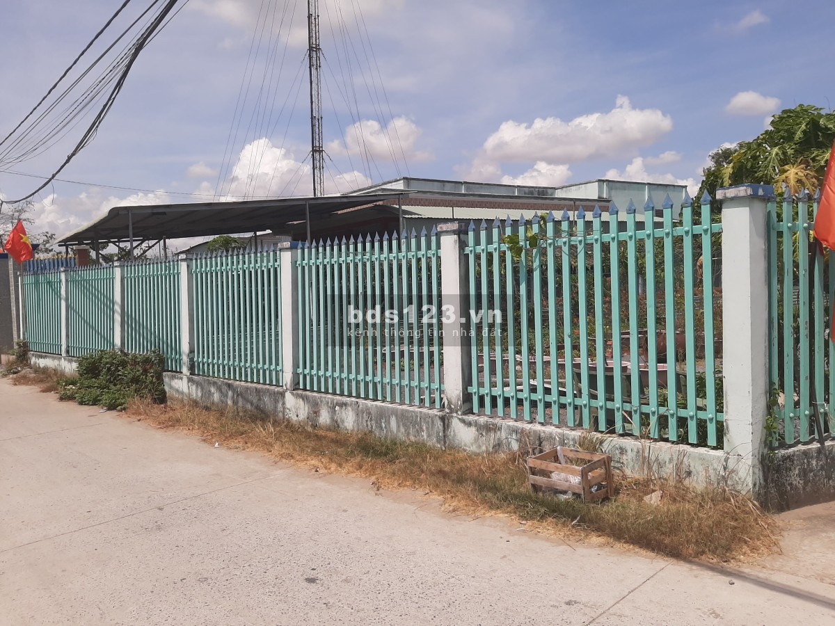 Bán đất trồng cây lâu năm 2310,5 m2, mặt tiền Đường Cây Dương, Xã Hưng Long, Bình Chánh (giá 8ty5)