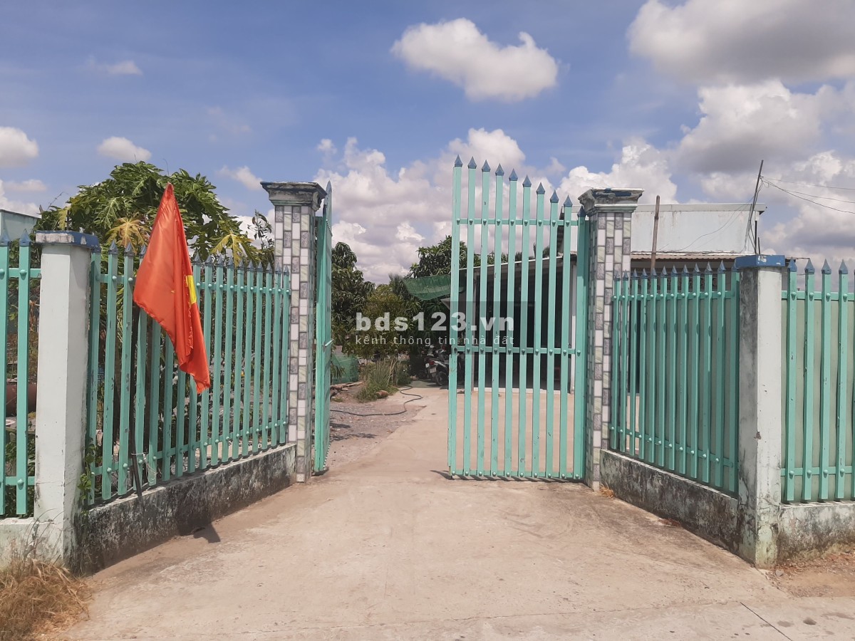 Bán đất trồng cây lâu năm 2310,5 m2, mặt tiền Đường Cây Dương, Xã Hưng Long, Bình Chánh (giá 8ty5)