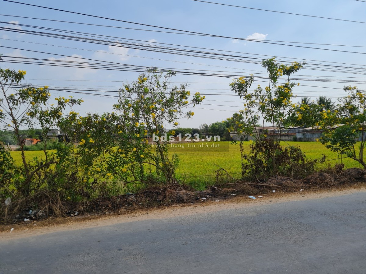 Bán đất tại mặt tiền đường Lộc Bình 6, xã Lộc Giang, Huyện Đức Hòa, tỉnh Long An