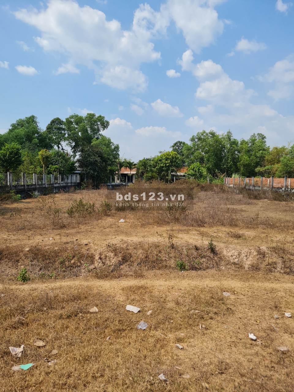 Bất đất mặt tiền đường Lộc Bình, xã Lộc Giang, huyện Đức Hòa, tỉnh Long An