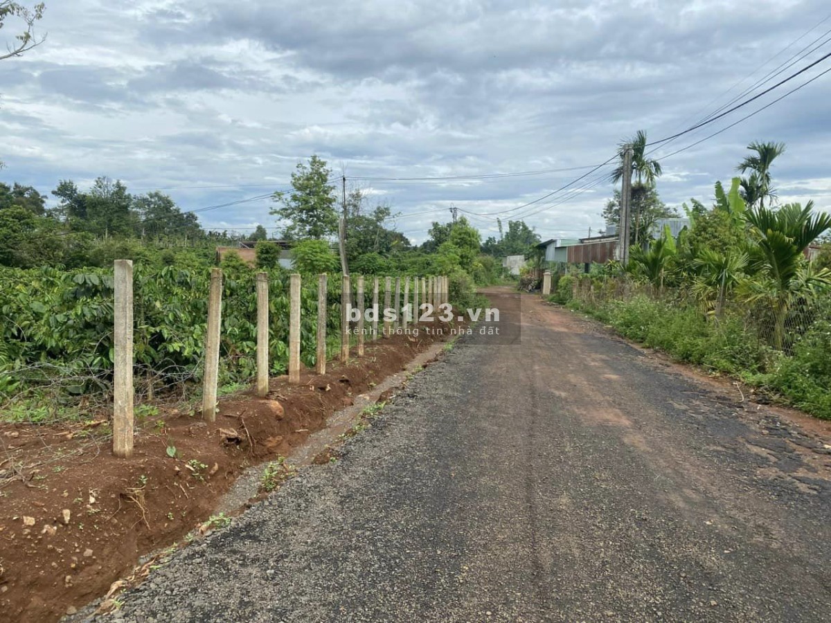 Bán đất hẻm Nguyễn Chí Thanh Pleiku Gia Lai