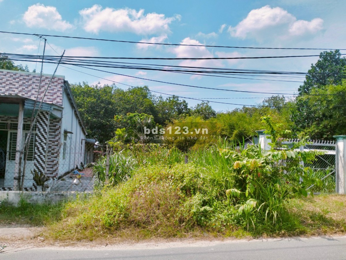 2891m2 đất thổ cư mặt tiền đường Đỗ Đăng Tuyển, An Nhơn Tây, Củ Chi.