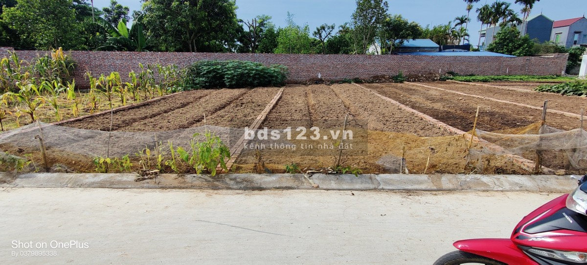 Bán lô đất sổ đỏ chính chủ nằm giữa trung tâm quy hoạch của Huyện Kim Thành