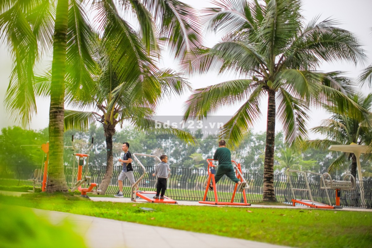 Cần tiền bán gấp căn hộ Studio full nội thất, hướng mát, giá chỉ 1.5 tỷ, tại Vinhomes Ocean Park
