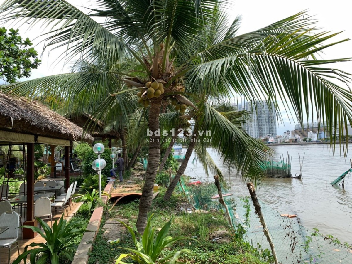 ĐẮC XẮT RA MIẾNG. KINH DOANH ĐA NGÀNH. View ĐẠI GIA THẢO ĐIỀN. 6000m2 đất cho thuê. HĐ dài hạn.