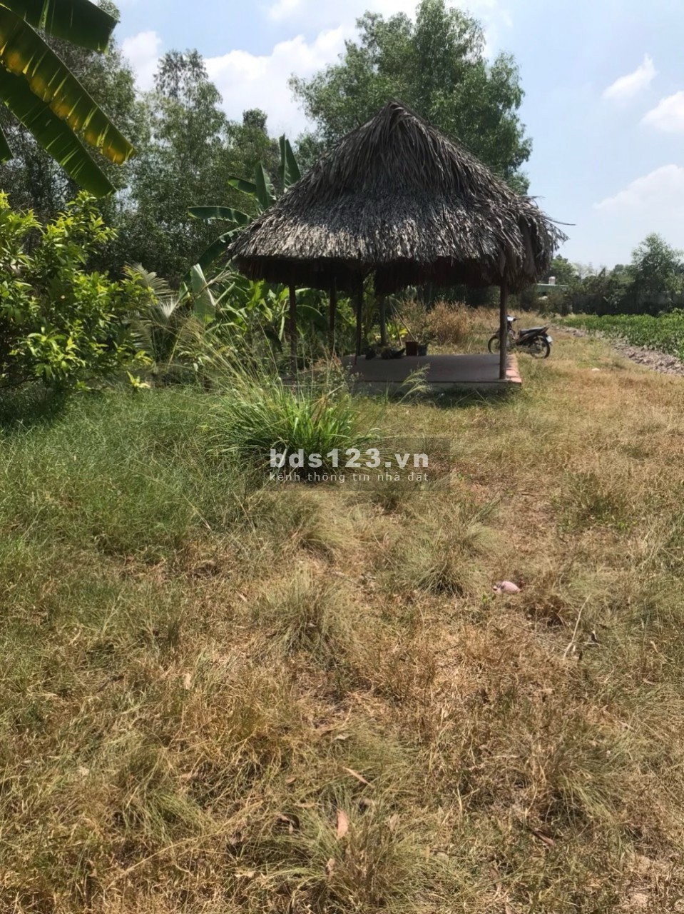 1 mẫu đất ngay Nguyễn Thị Rành, Nhuận Đức, Củ Chi, đã lên 300m2 thổ cư, giá cực rẻ