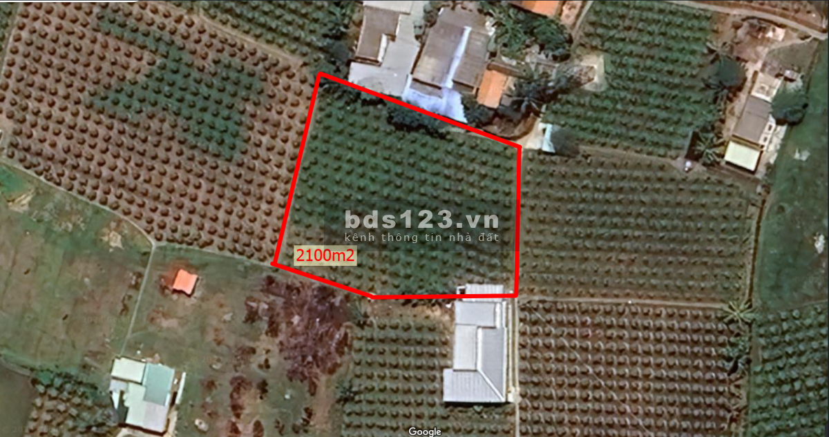 Cần bán 2100m2 đất cây trồng tại Thôn Thắng Lợi, Xã Hàm Thắng, Huyện Hàm Thuận Bắc