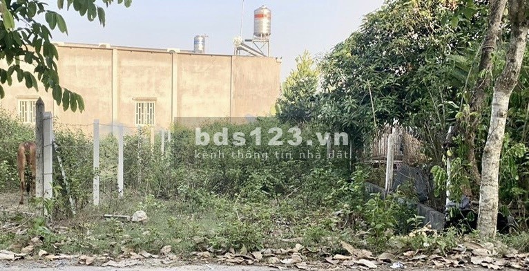 Cắt lỗ nặng 100m full thổ 5x20 đường 1/Nguyễn Thị Lắng vào 500m, Tân Phú Trung, Củ chi1ty250