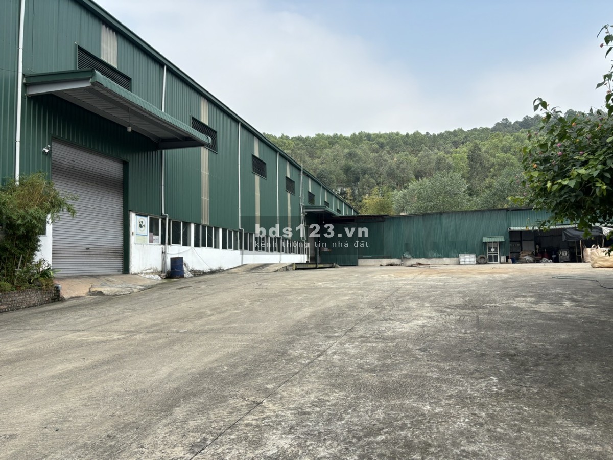 Cấn bán gấp 1,6ha đất sổ đỏ chính chủ, khu vực Xuân Hòa, Vĩnh Phúc (Ngay gần hồ Đại Lải)