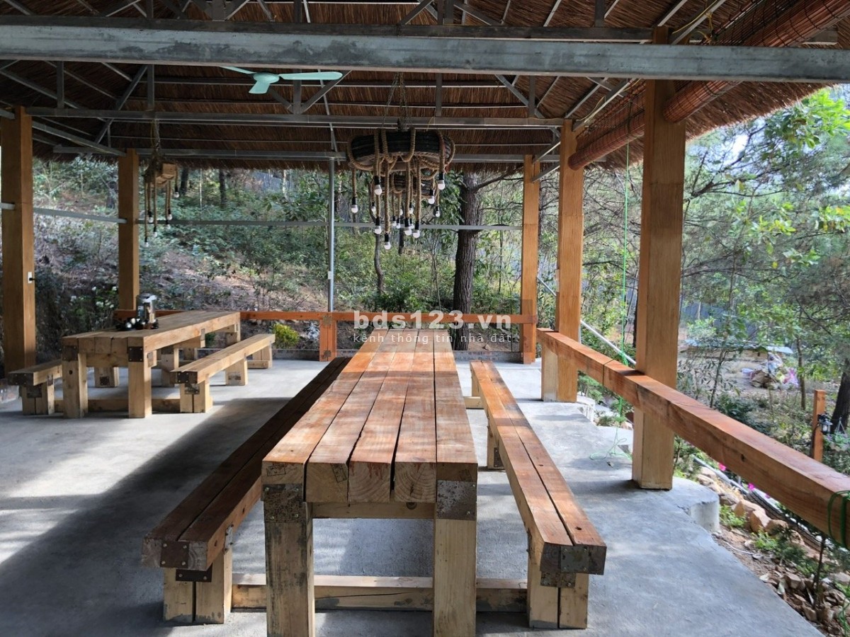 Cấn bán gấp 1,6ha đất sổ đỏ chính chủ, khu vực Xuân Hòa, Vĩnh Phúc (Ngay gần hồ Đại Lải)