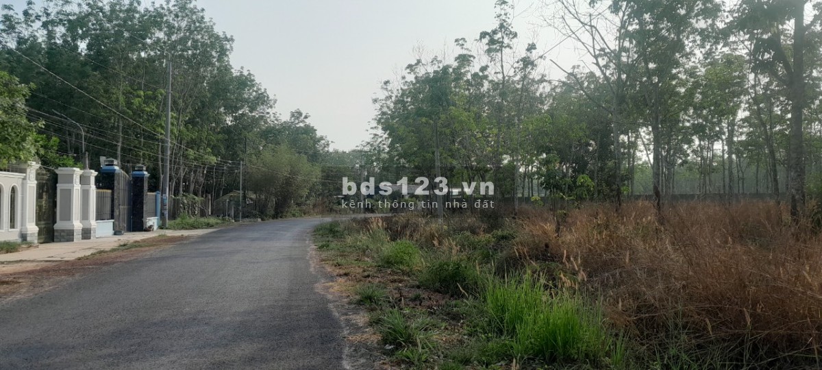 Cần bán đất Chơn Thành Bình Phước giá rẻ, gần QL 13, khu công nghiệp Minh Hưng 3, chỉ cần 299tr