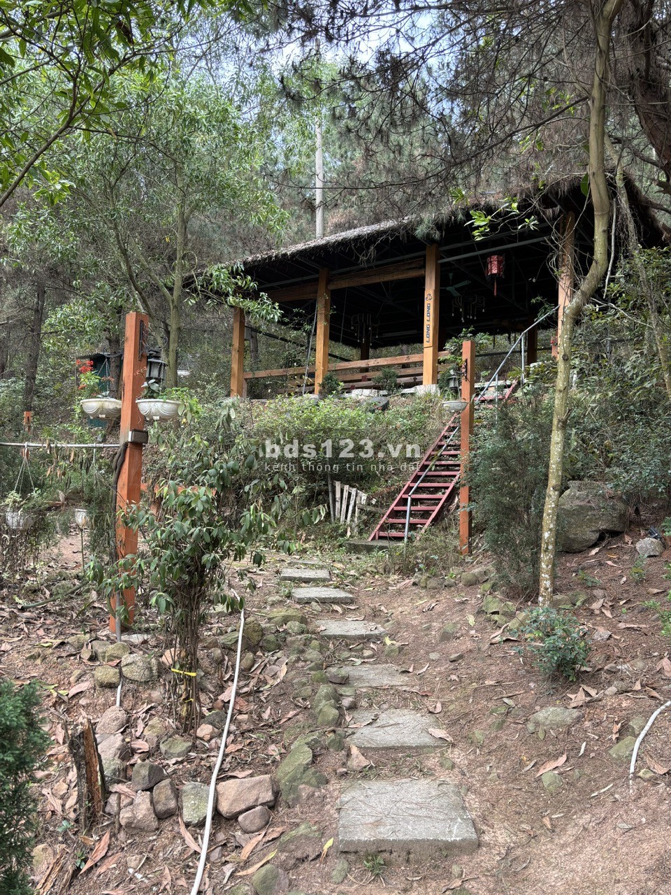 Cấn bán gấp 1,6ha đất sổ đỏ chính chủ, khu vực Xuân Hòa, Vĩnh Phúc (Ngay gần hồ Đại Lải)