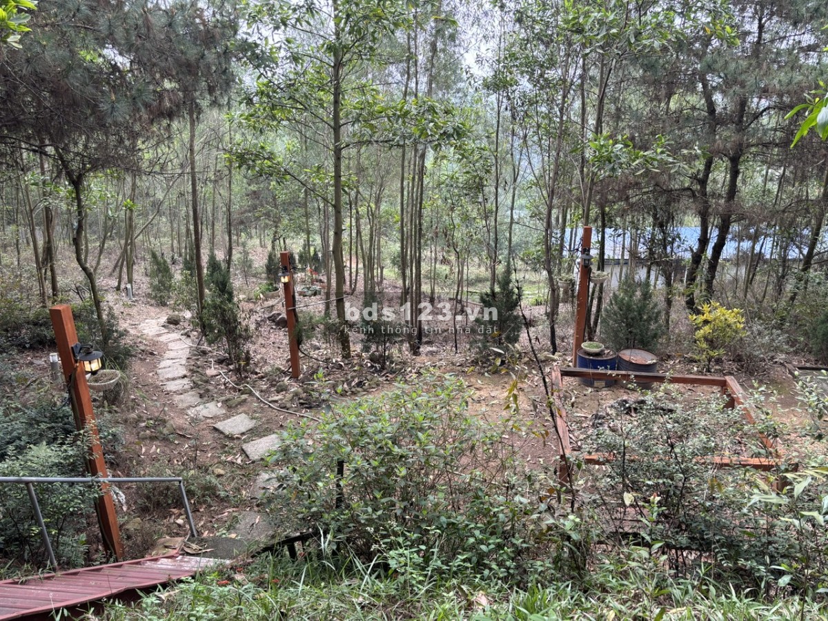 Cấn bán gấp 1,6ha đất sổ đỏ chính chủ, khu vực Xuân Hòa, Vĩnh Phúc (Ngay gần hồ Đại Lải)